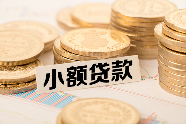 成都简阳个人借贷好吗-成都简阳正规小额贷款-成都简阳小额私人借贷